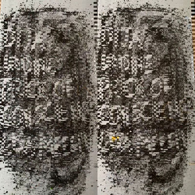 Events Research Programme: Prick of Conscience, Undine, Lisa Meech, DIJA (1)