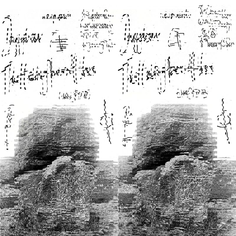 Dayydream, The Healing Power of Horses