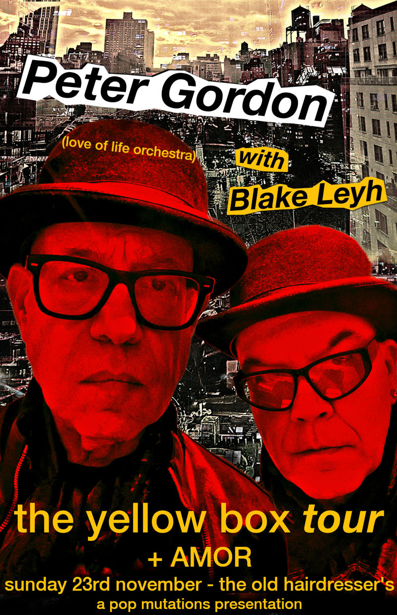 Peter Gordon (Love of Life Orchestra) + AMOR