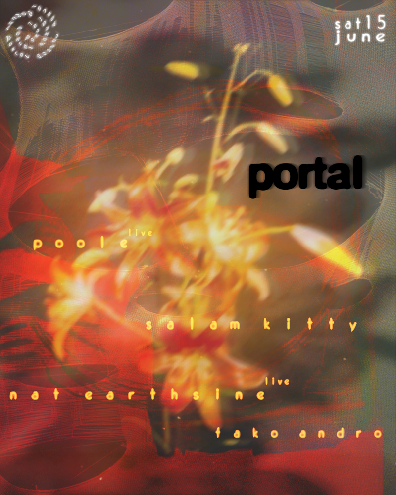 nat earthsine, poole, salam kitty