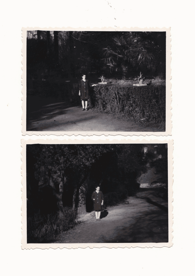 LUCINDER / SLOW slow LORIS